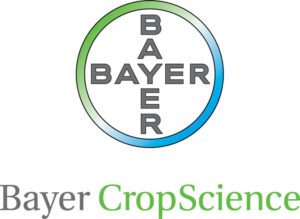 Logo 4