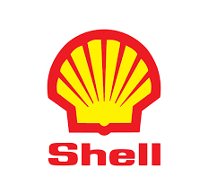 Logo 13